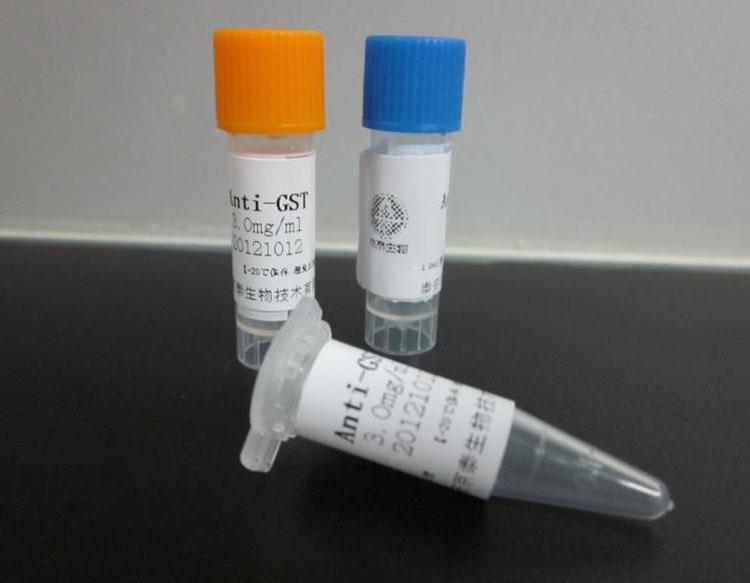 冷鏈保存國際快遞